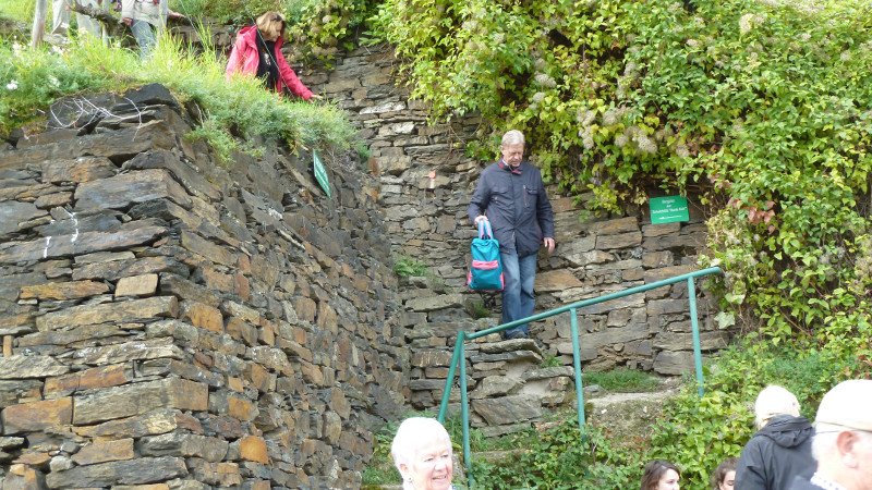 Rotweinwanderung 24.10.2015